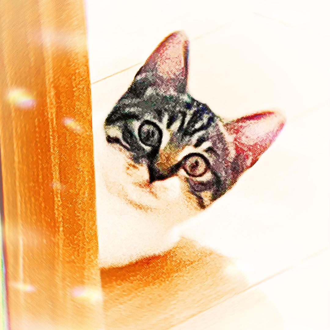逢渊