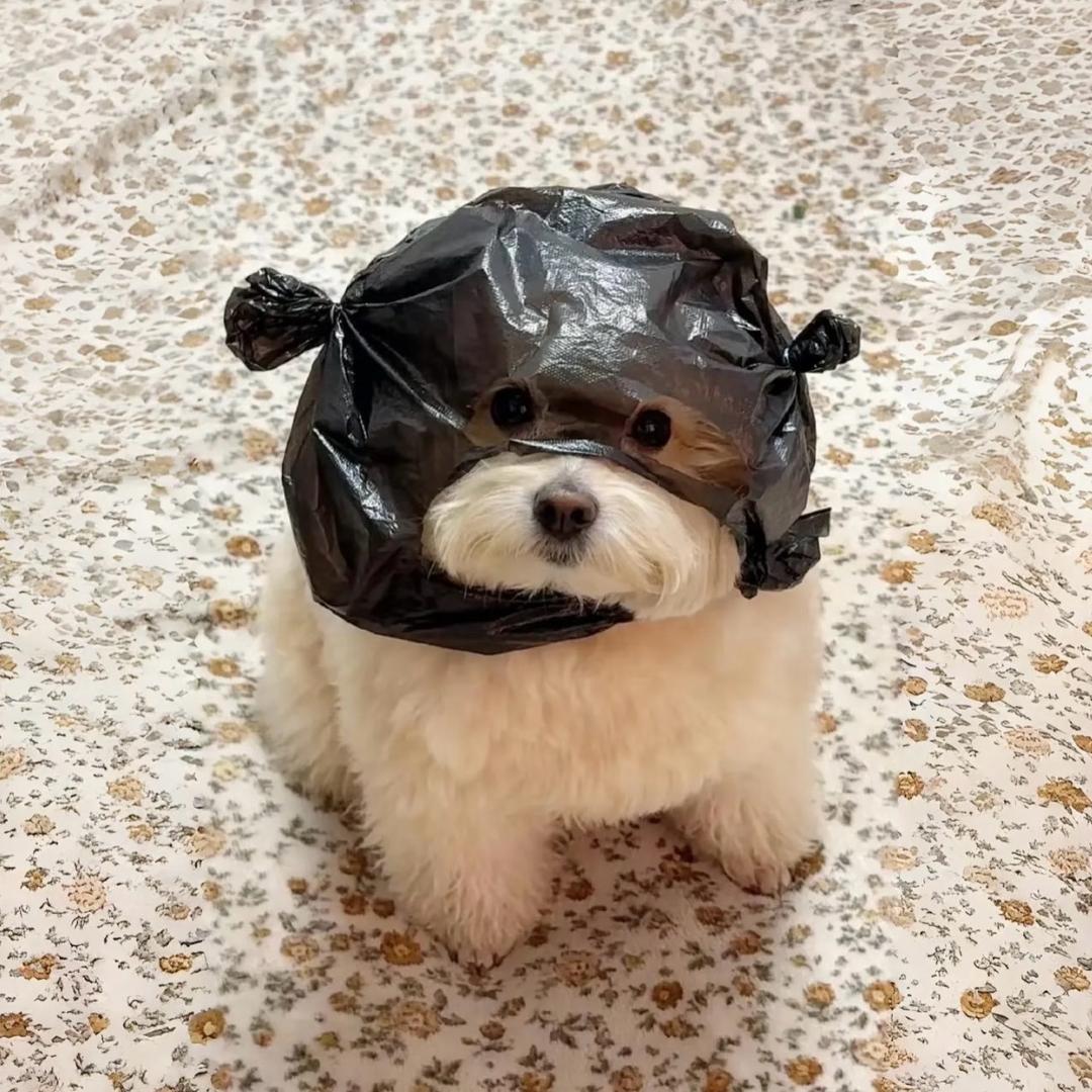 ✿𝒮𝓊𝓅ℯ𝓇𝓂𝒶𝓃