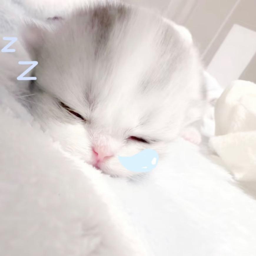 依赖