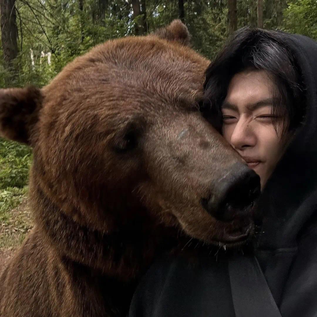 骇锅的🐻