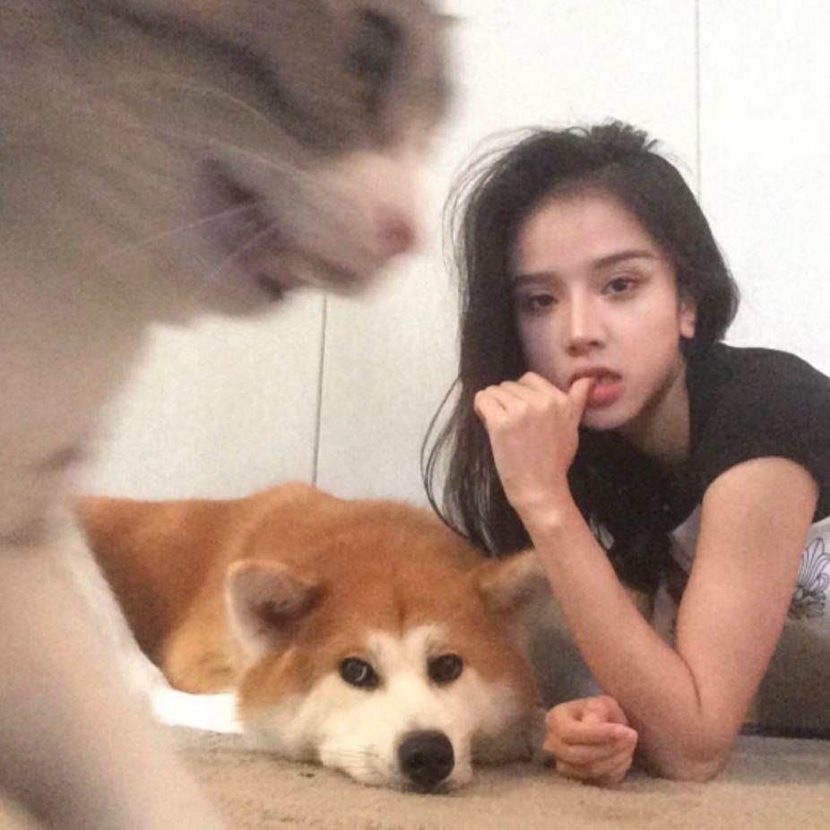 今晚吃什么