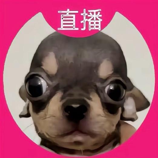 奶油小欣