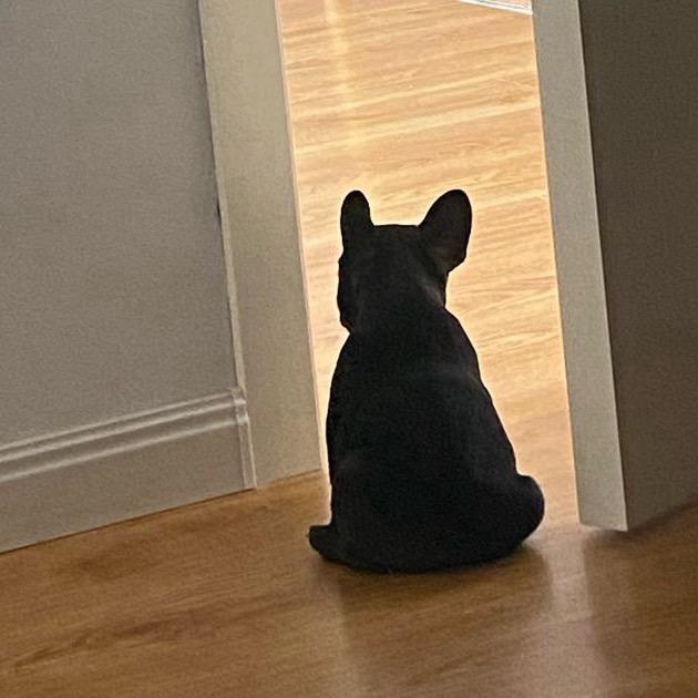程天睡大觉😪