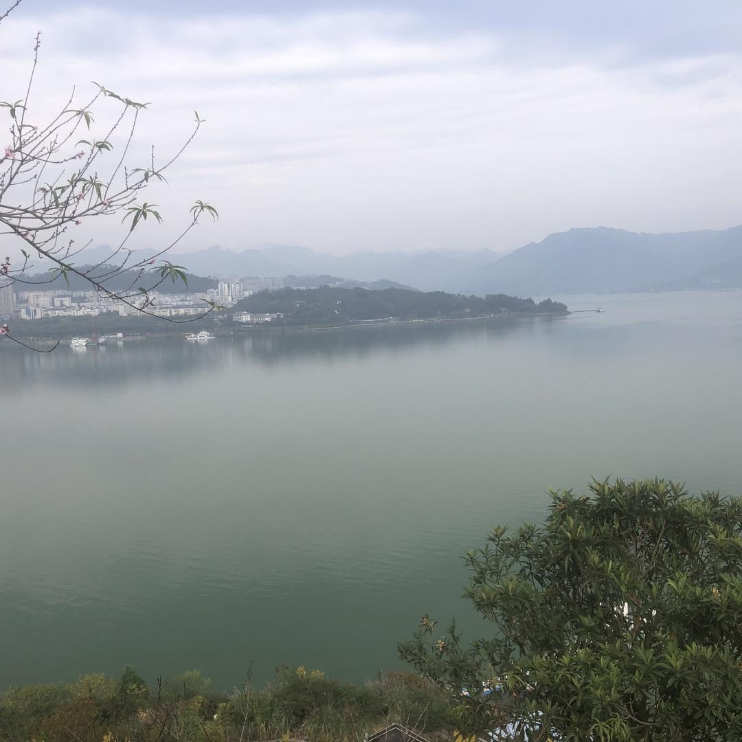 潍坊万元练手车批发