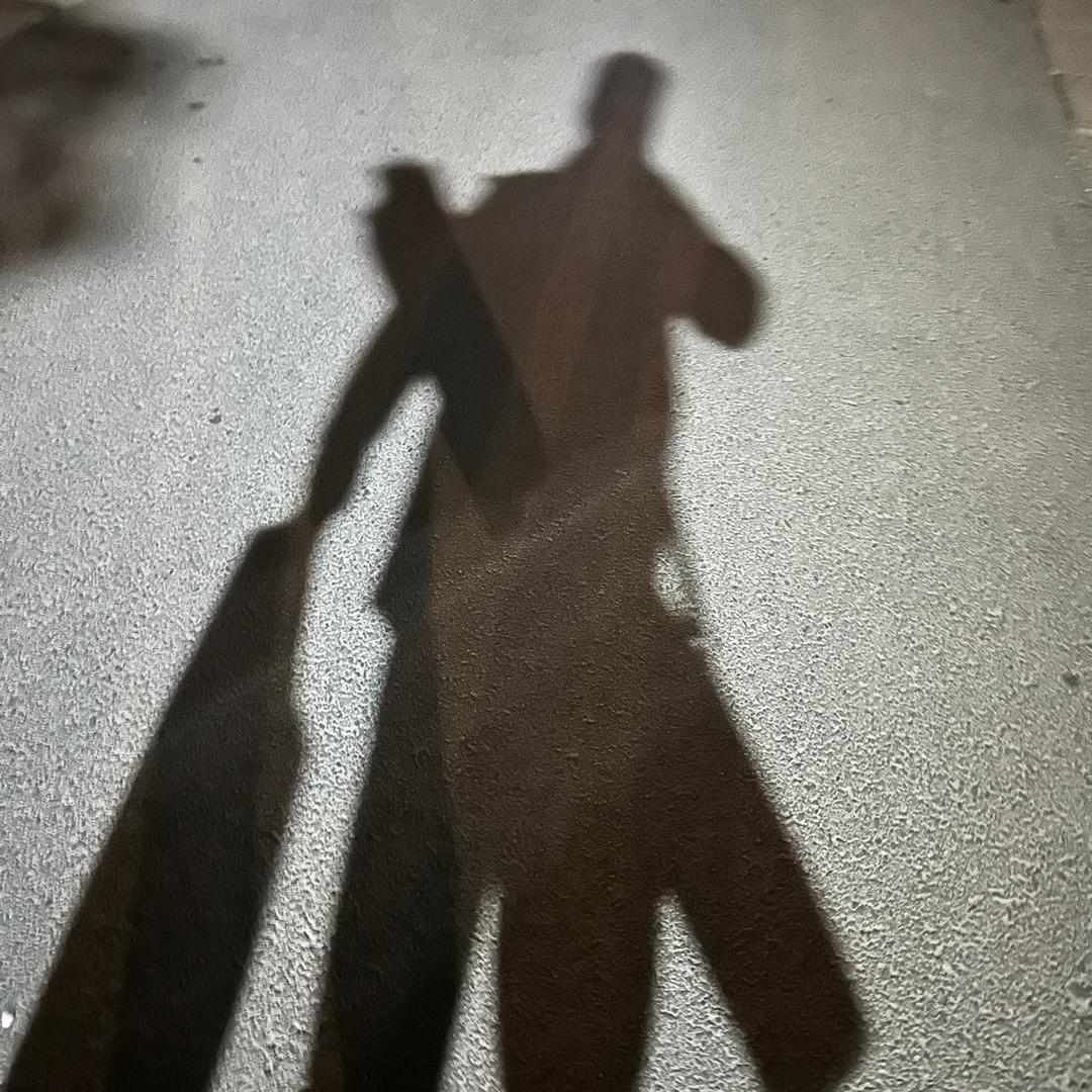 180s+•刚粉豫城鲢鳙战队