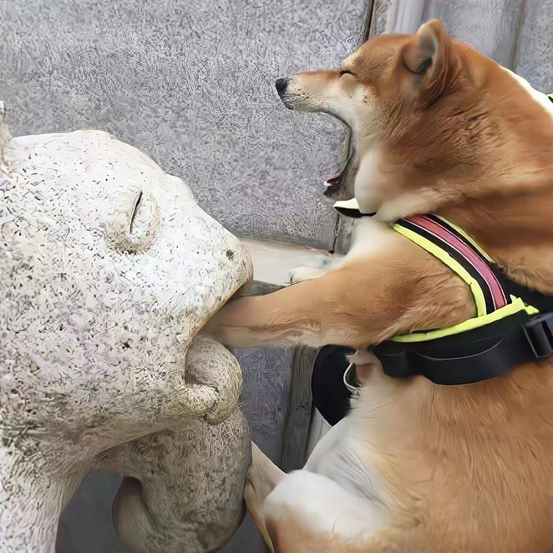 淚眼不見當年