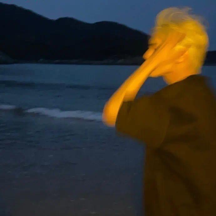 小海鸥