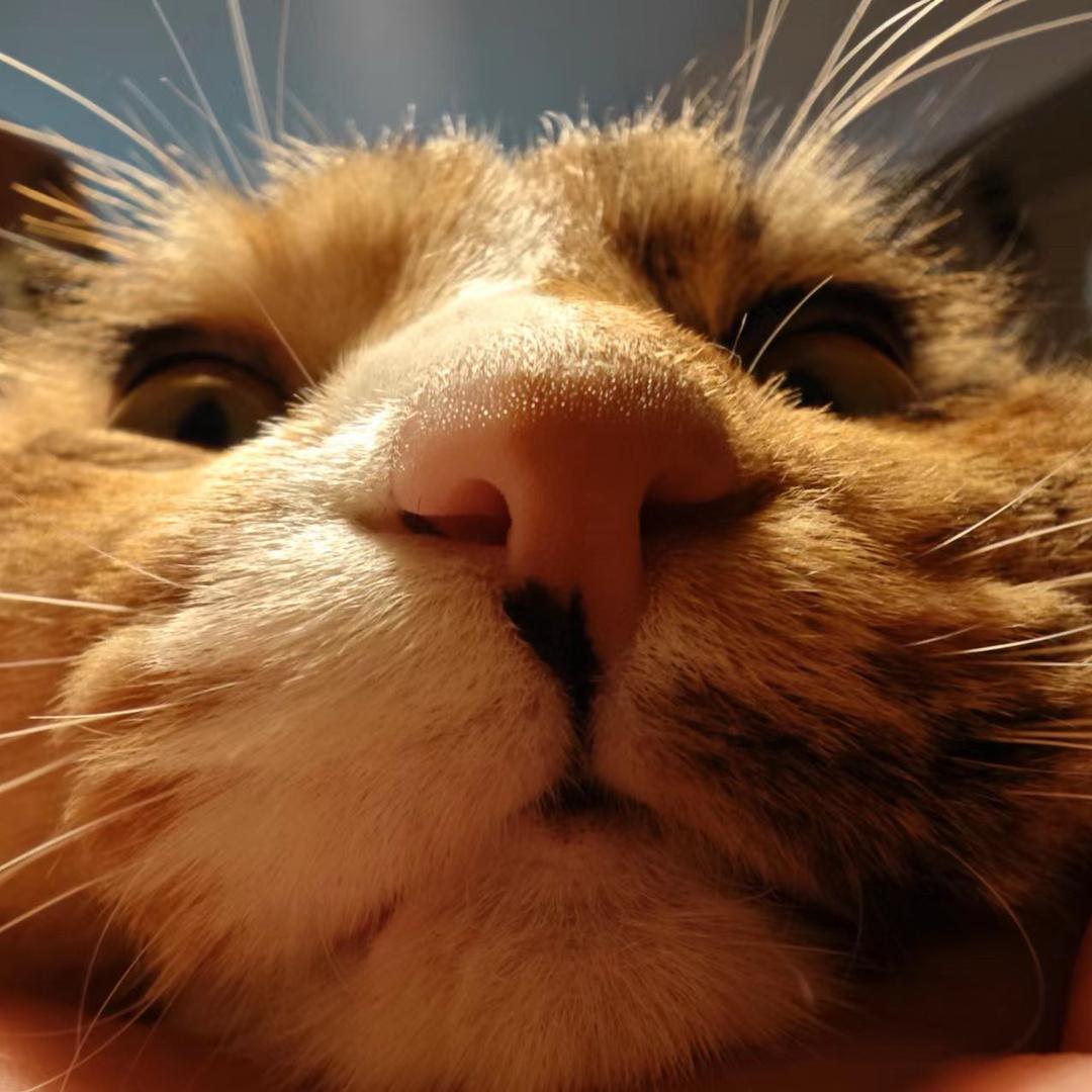 梦星星每天都要快快乐乐