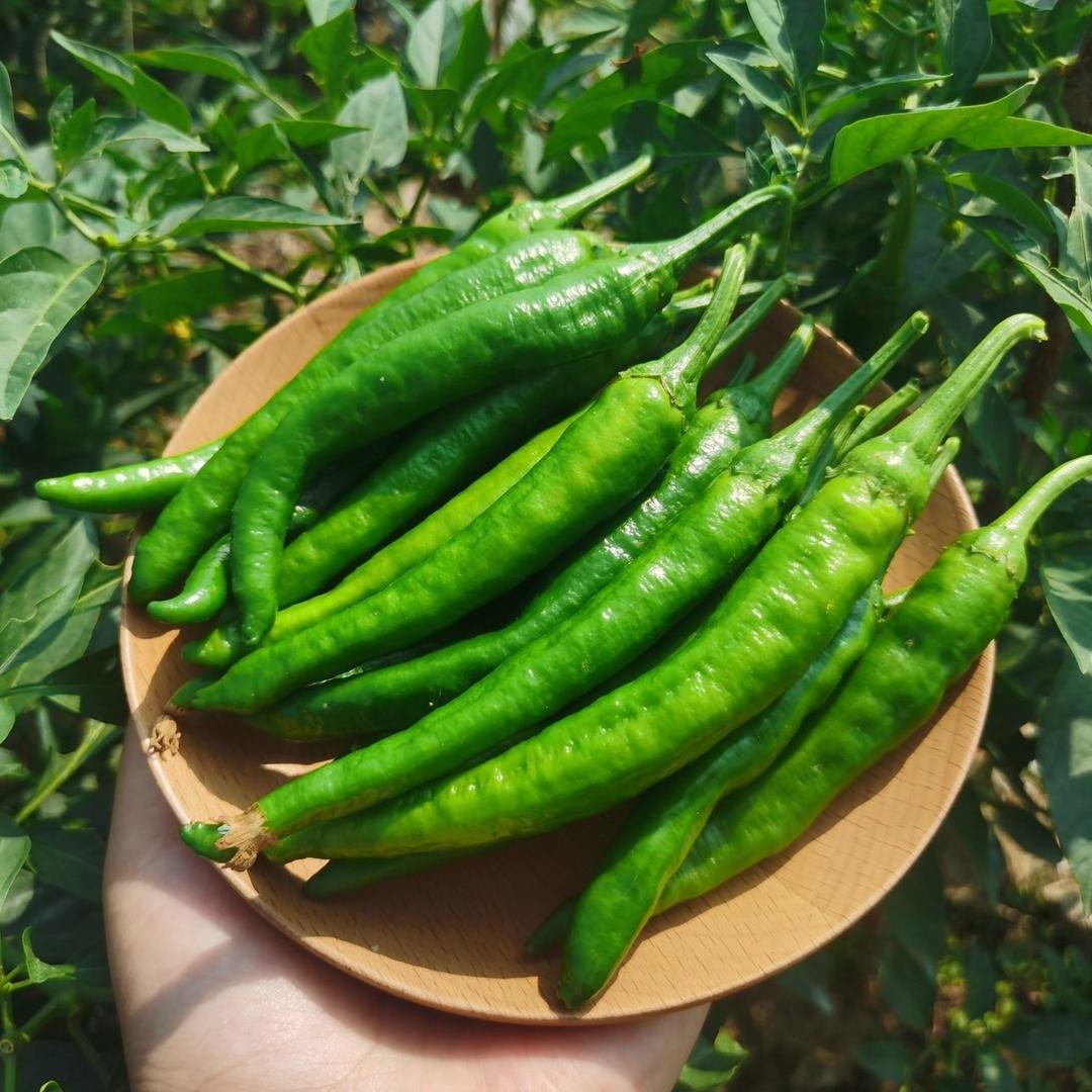 蒸阳鲜生