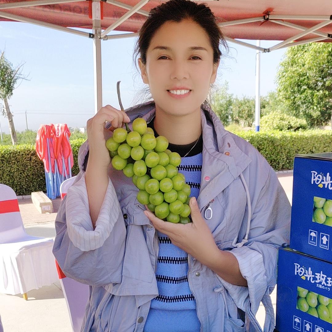 田园小焕