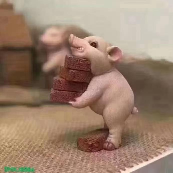 华弟