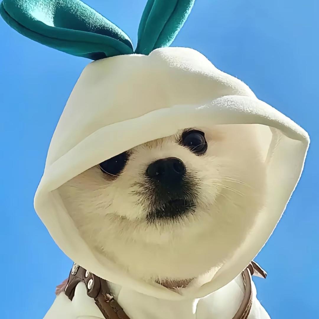 大周～