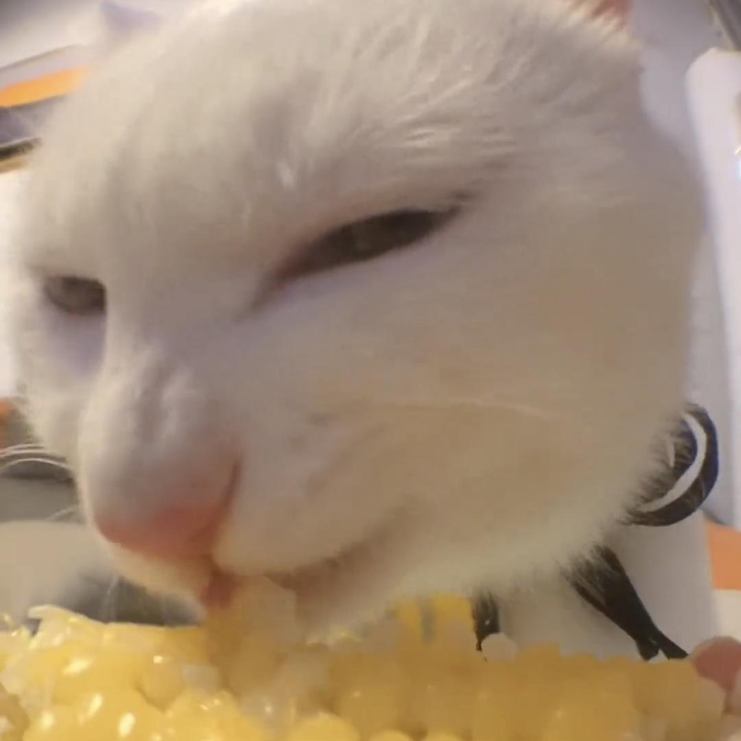 你瞅啥