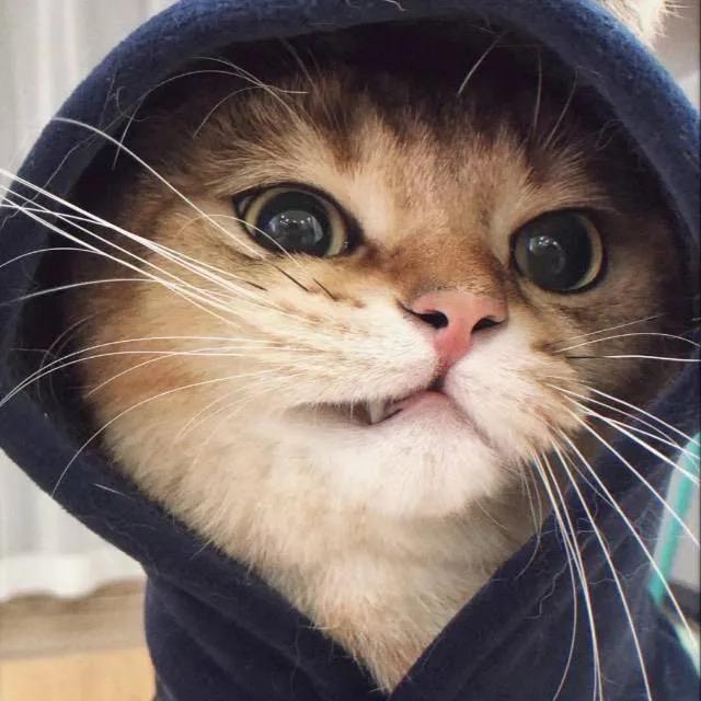 健康快乐每天
