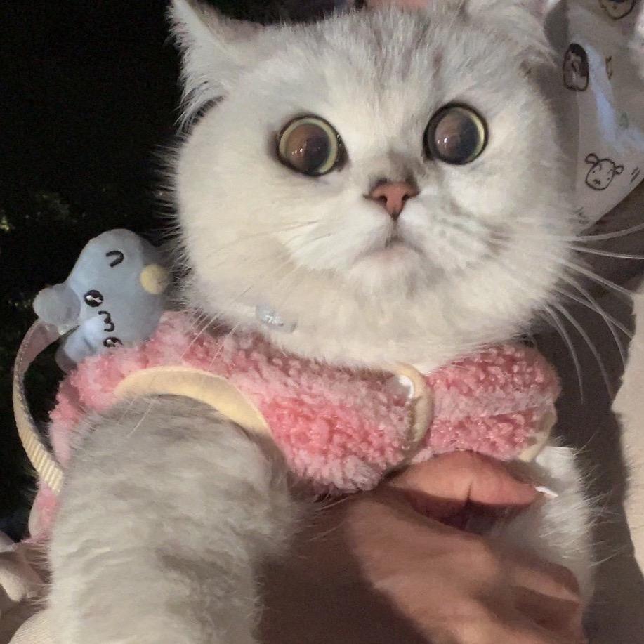 陈皮话梅糖🐱