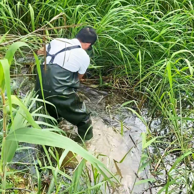 回家的80后