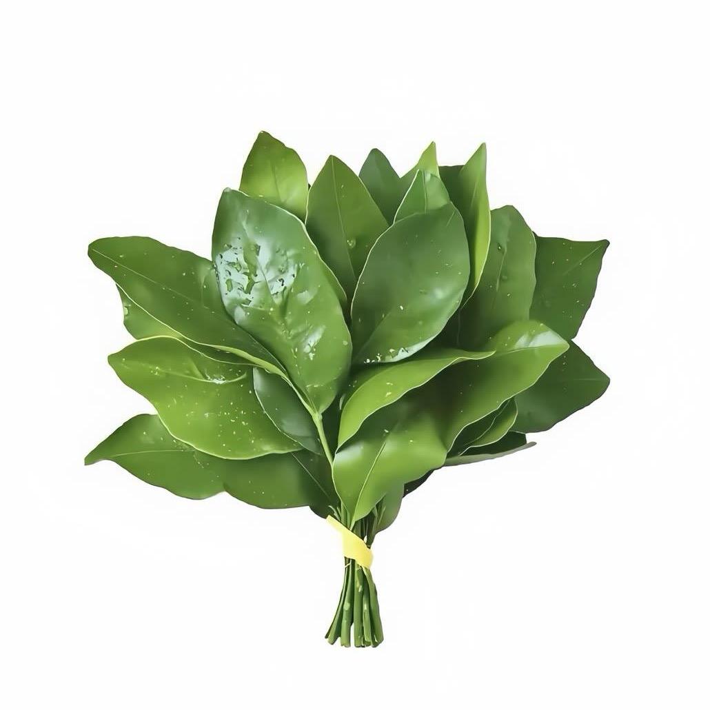 许愿年年🥥