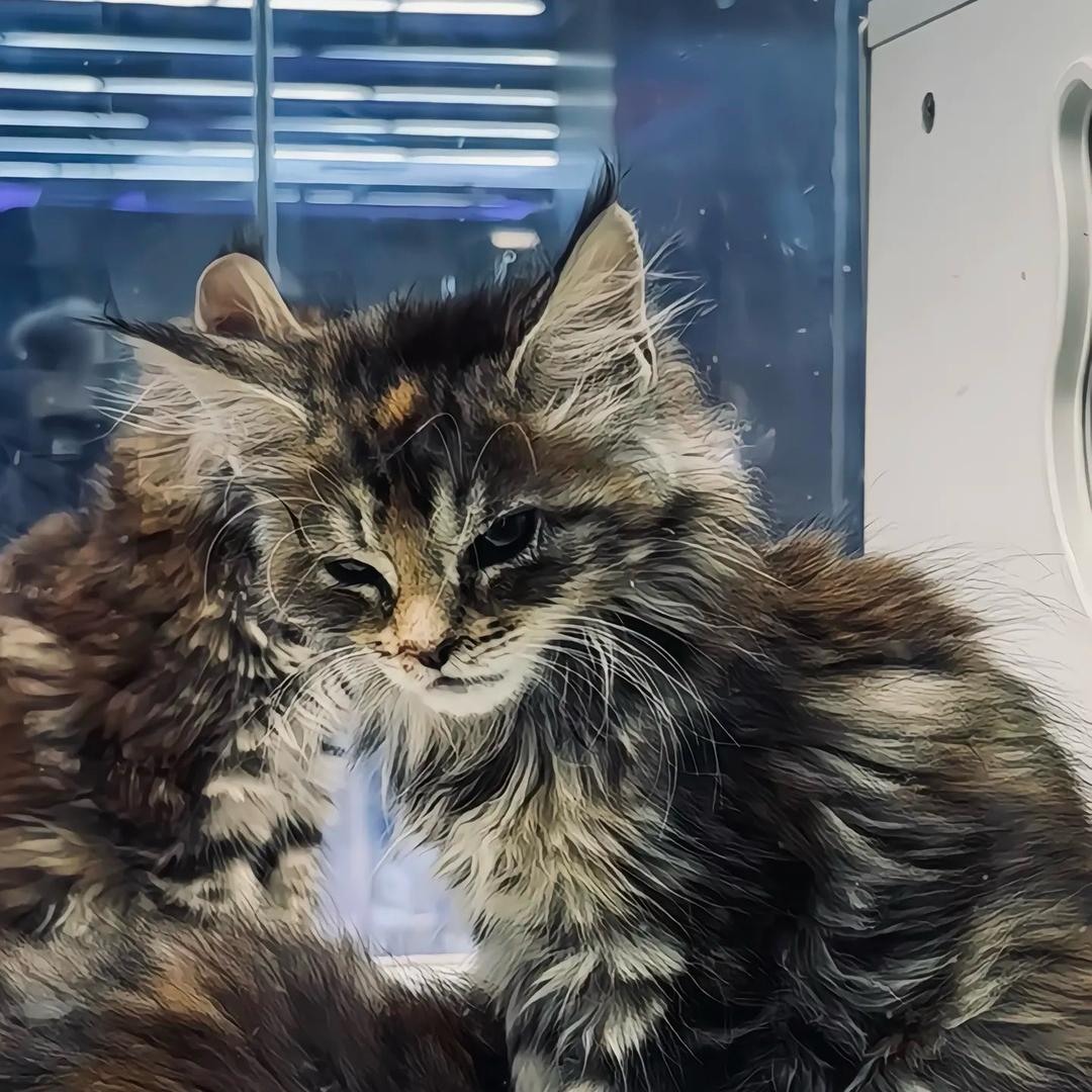 잘 할 것 없이 小店