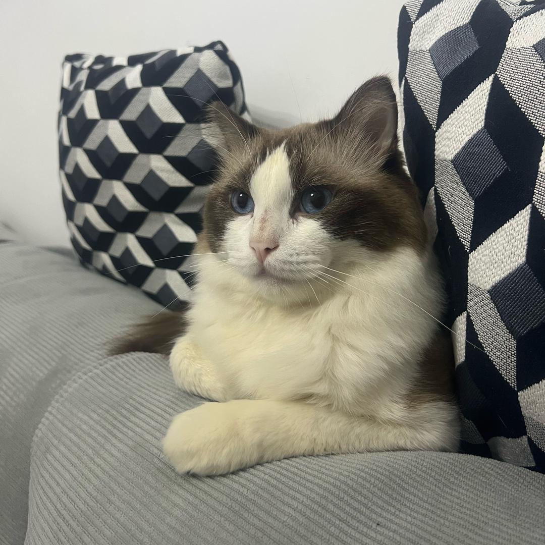 小小名