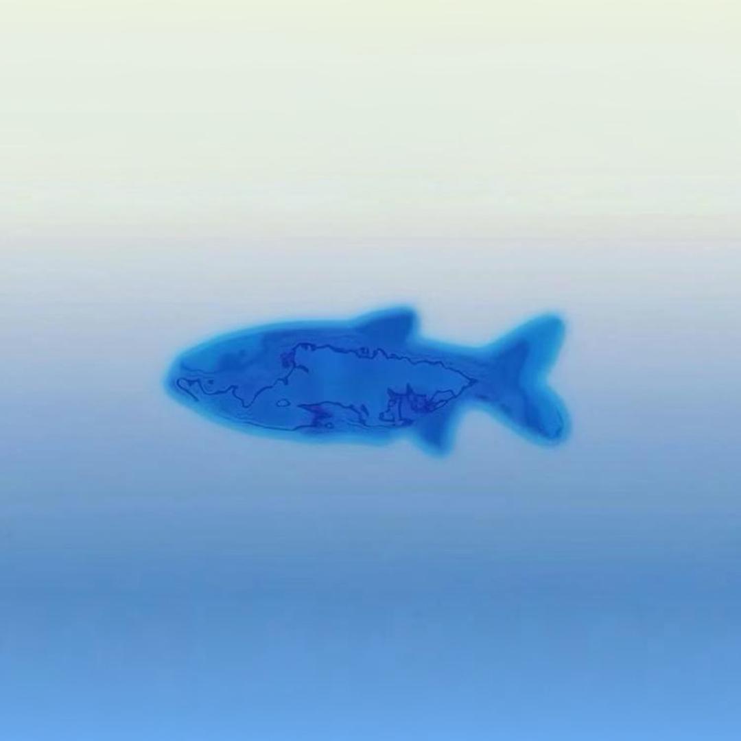 。@。