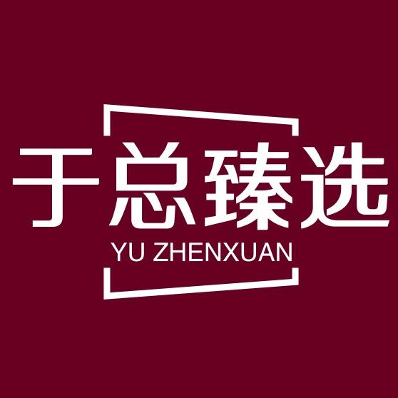 于总臻选