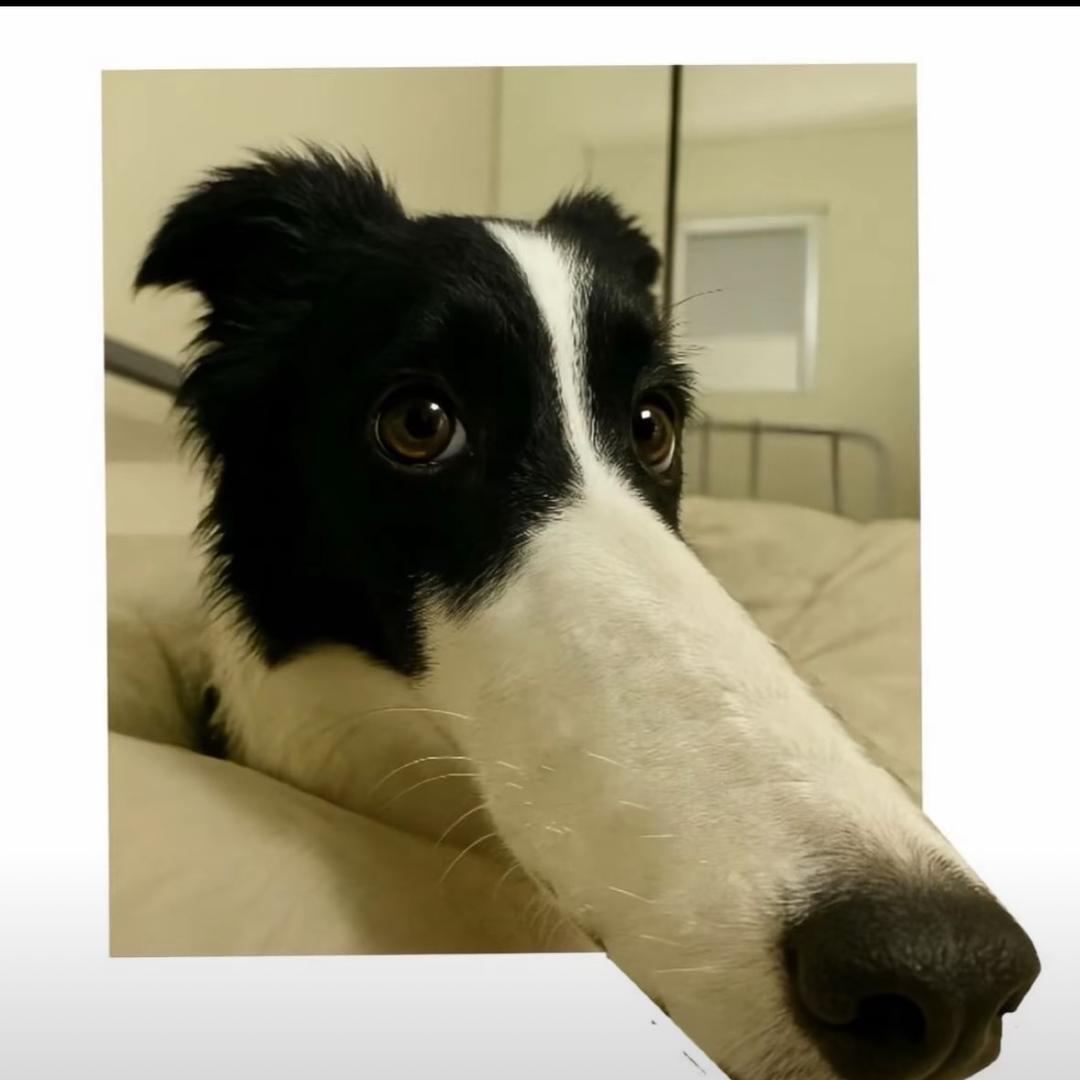 深海鱼棒棒棒棒