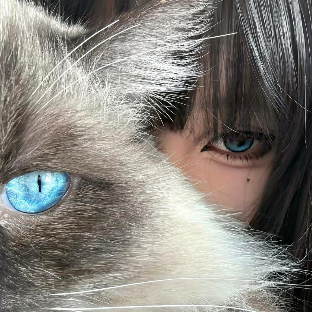 世界只剩小文.