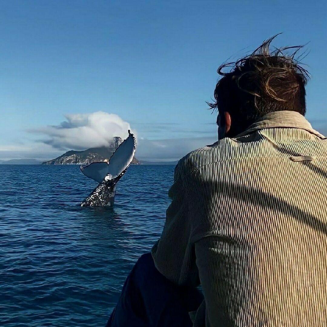 夏冰雹（未来国一宫本韩信玄策裴擒虎版）