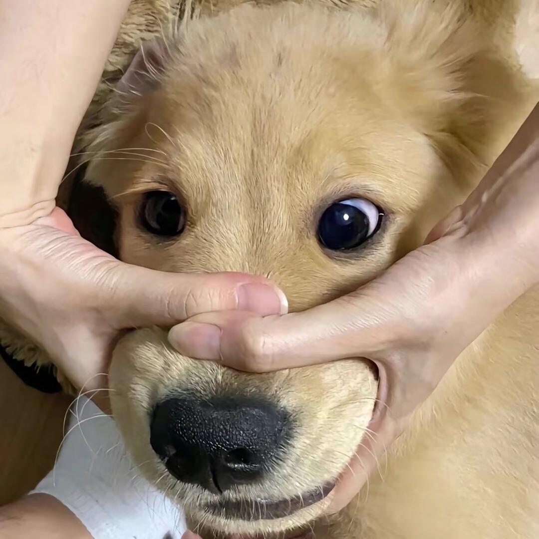 某一