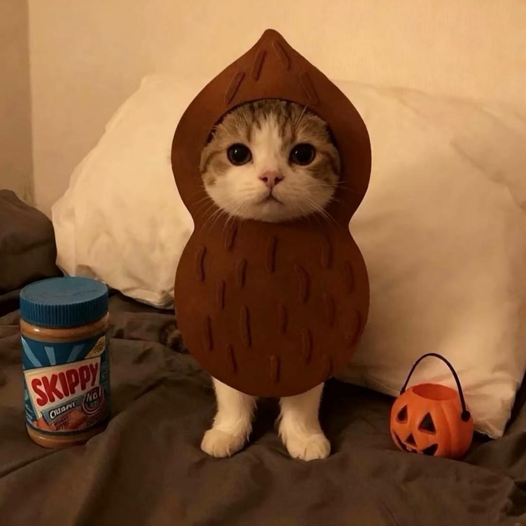 小怡