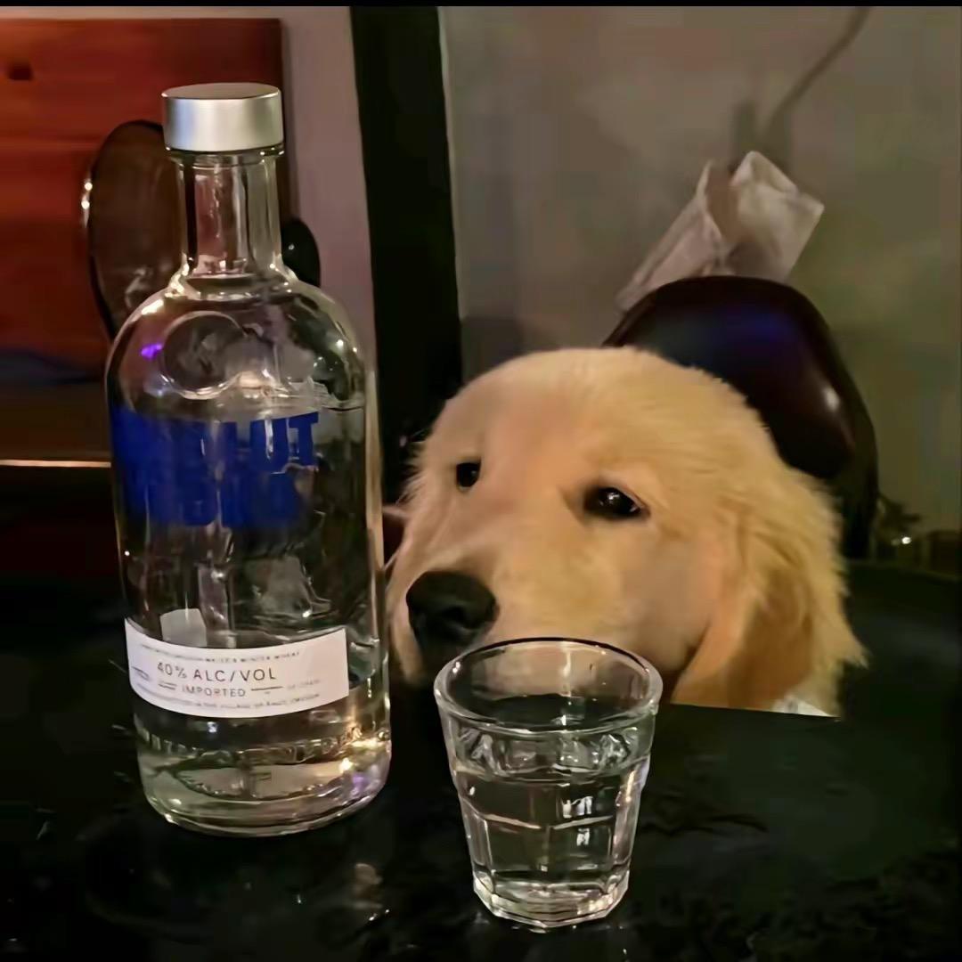 oiii睡不醒