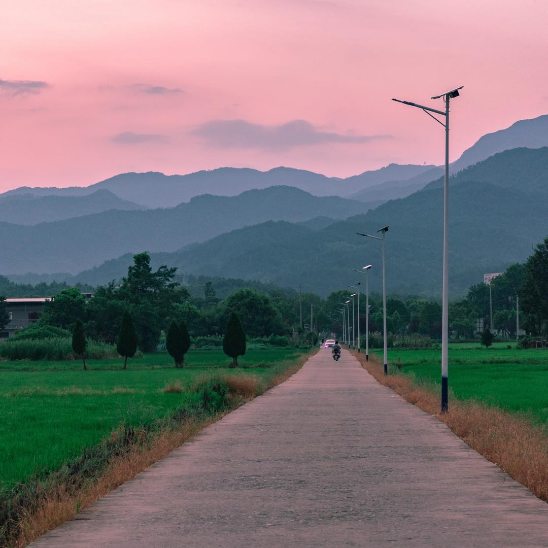 汪汪会旺的📷（回村版）