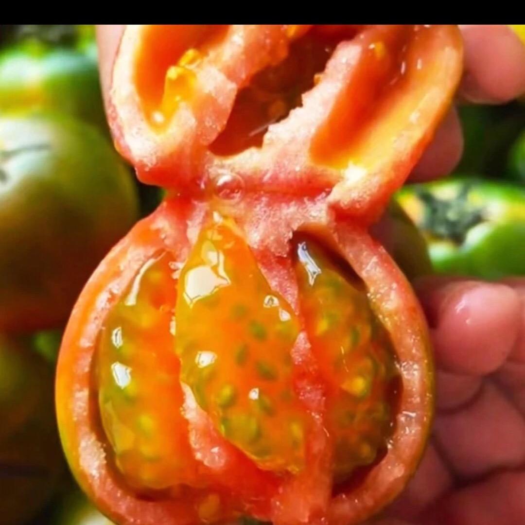 小魏说农业