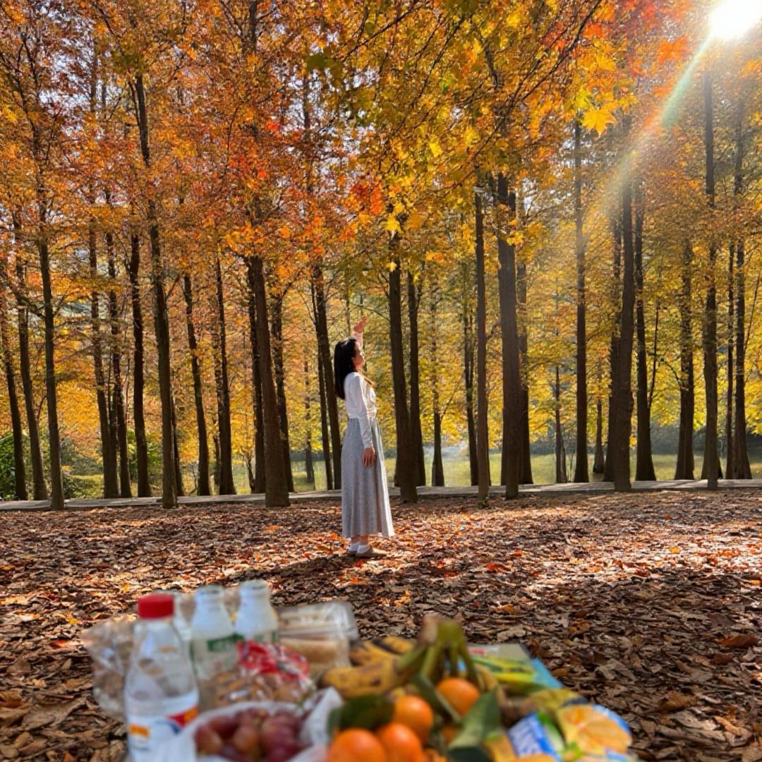 奥利奥🍪夹心饼干(˘͈ᵕ ˘͈❀)