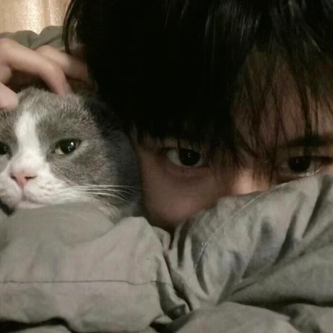 次元藏酷