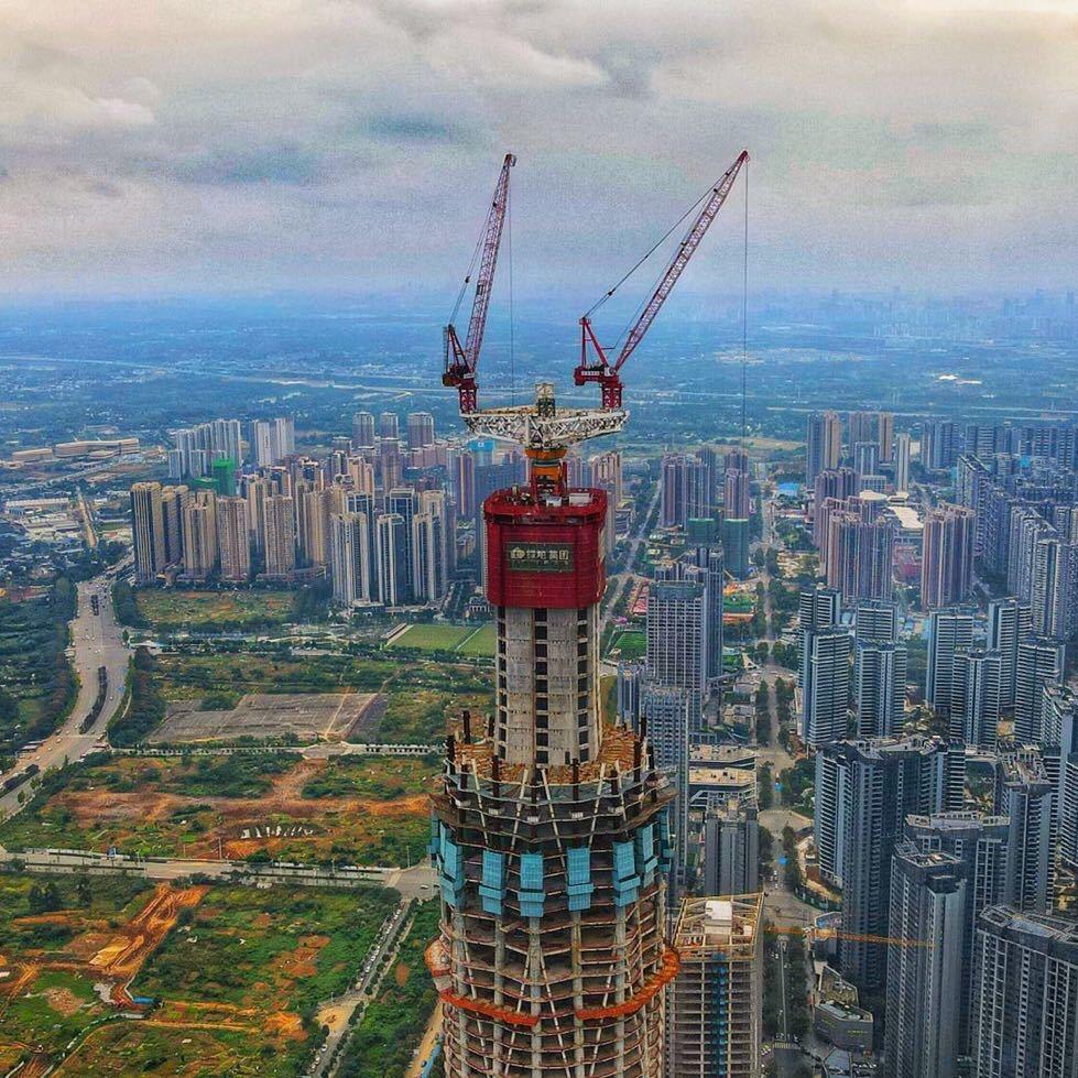 世界最肥猪儿虫🐛