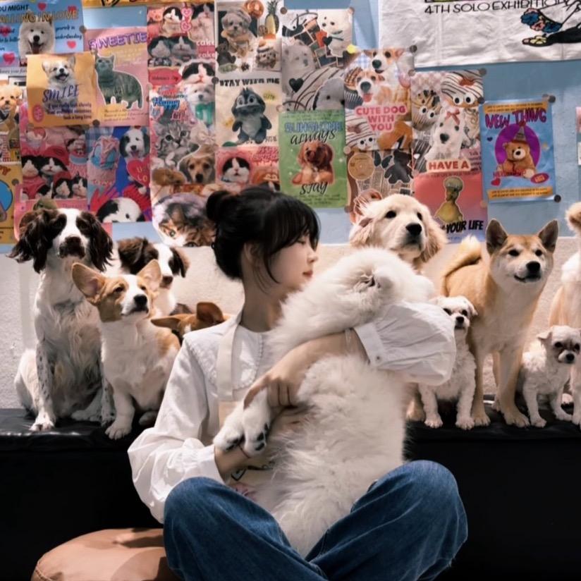 发光的小北斗（见过张杰七次版）