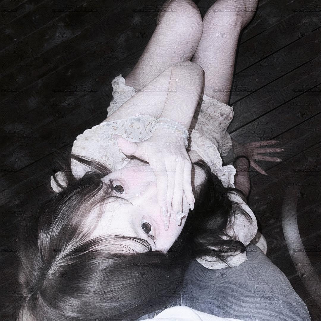 𝐇𝐨𝐨𝐱𝐢