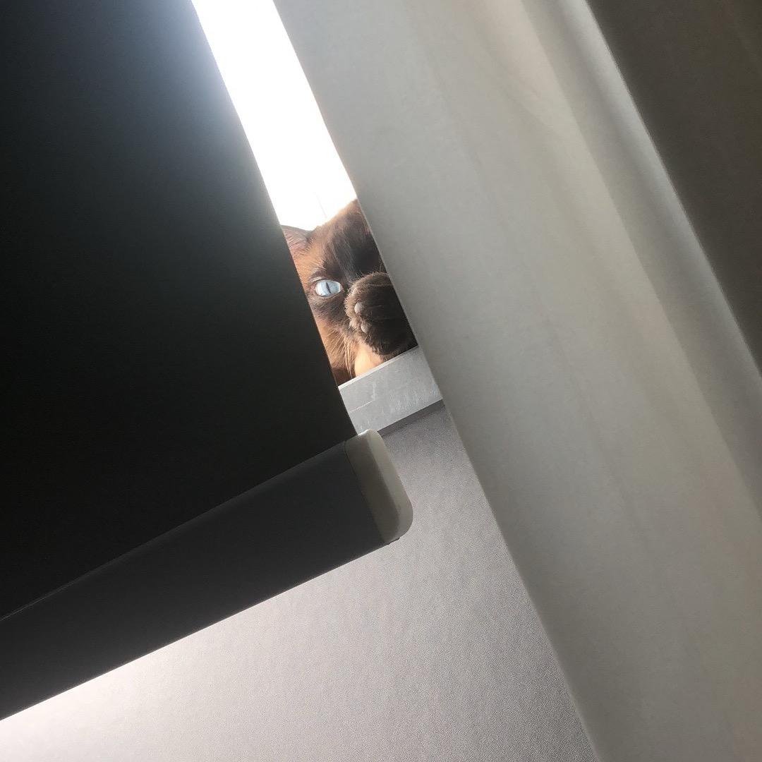 ☺️