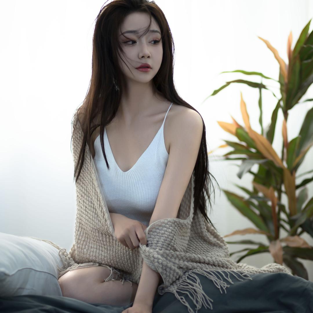 海上森林的一只猫