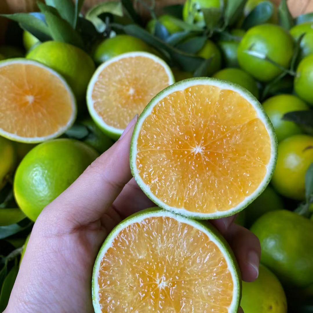 跟着霞姐吃橙子