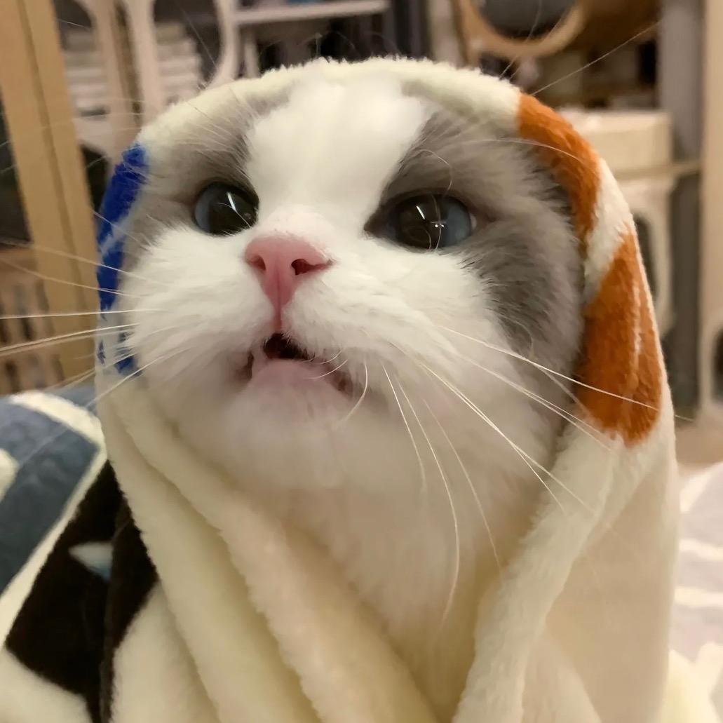 财神爷眷顾的身体健康极品美女