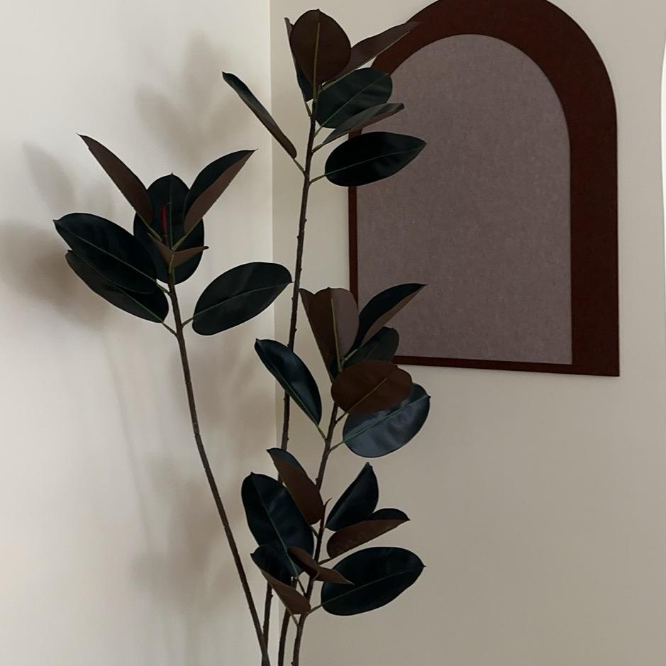 Nana studio