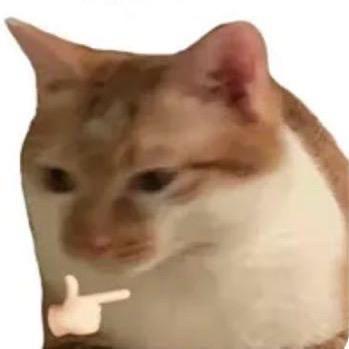 微醺老鼠