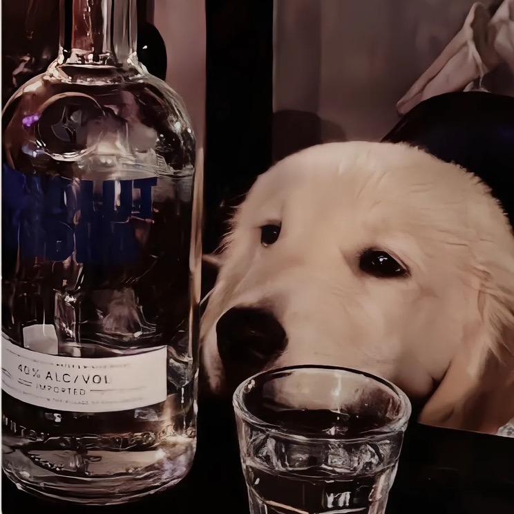 酒鬼房东