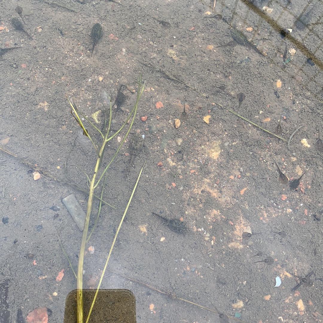 小🐟的日常分享～