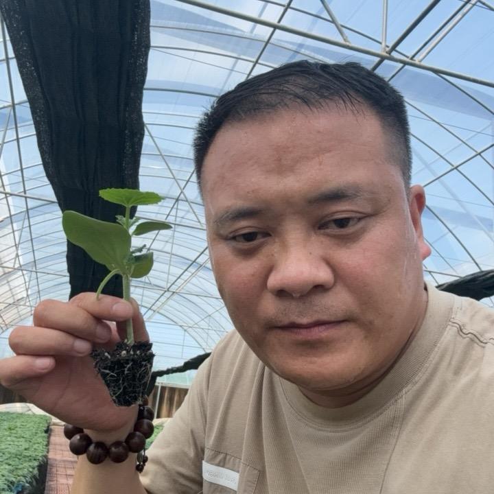旺林农业～杨宝民🍅🥒🌶︎