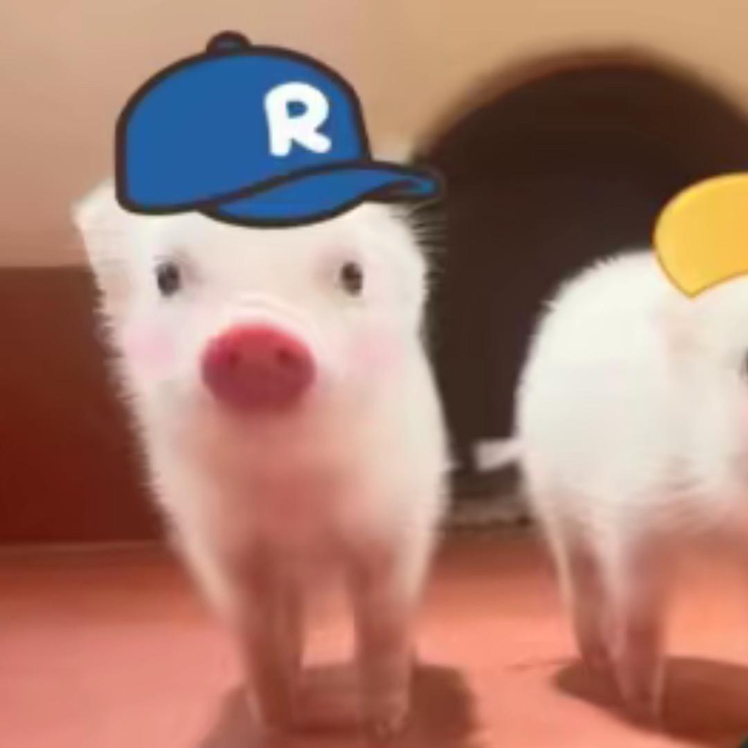 ՞⸝⸝'ᜊ'⸝⸝՞