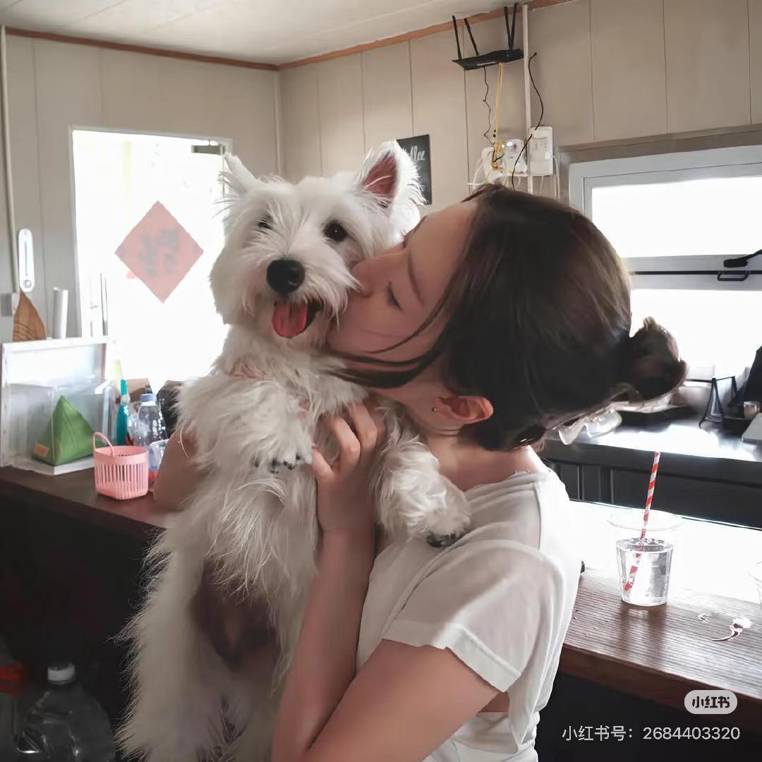 帆子