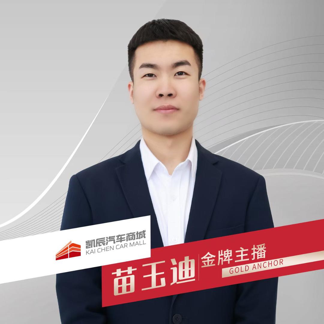 凯辰汽车商城-大苗